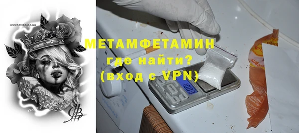 гидра Няндома
