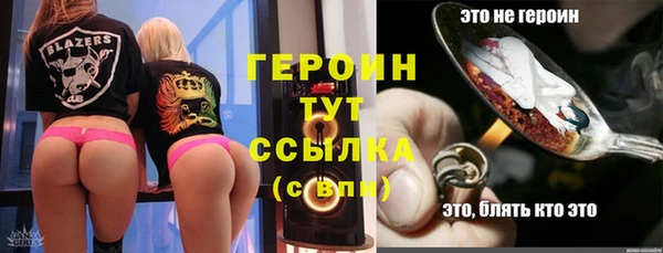 гидра Няндома