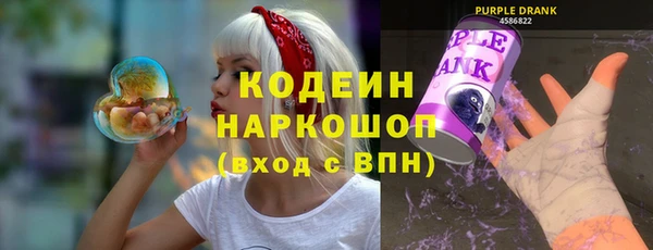 гидра Няндома