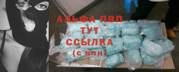 гидра Няндома