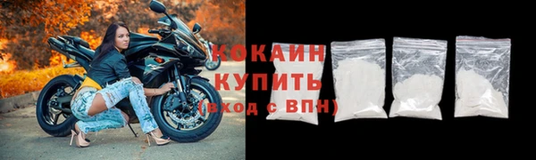 гидра Няндома