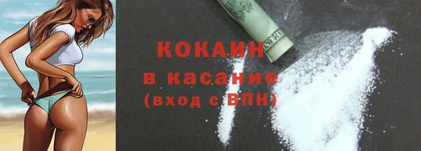 гидра Няндома