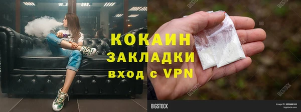 трава Новозыбков