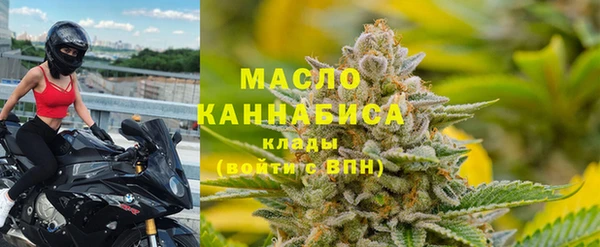 гидра Няндома