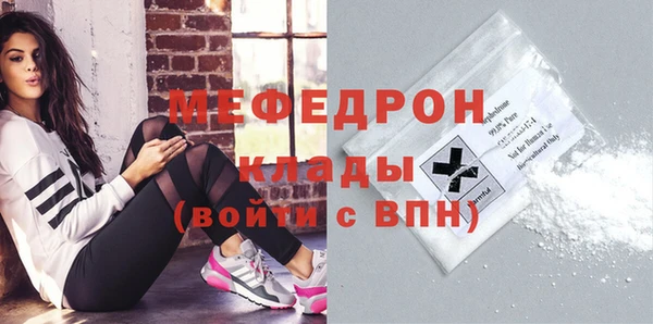 гидра Няндома