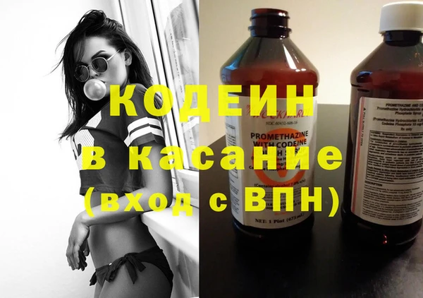 гидра Няндома