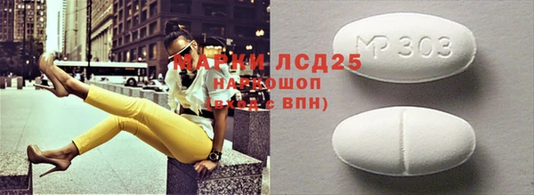 гидра Няндома