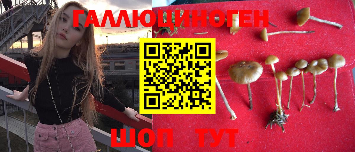 купить  цена  Вход с VPN  Галлюциногенные грибы Psilocybe  Надым  Псилоцибиновые грибы мицелий 