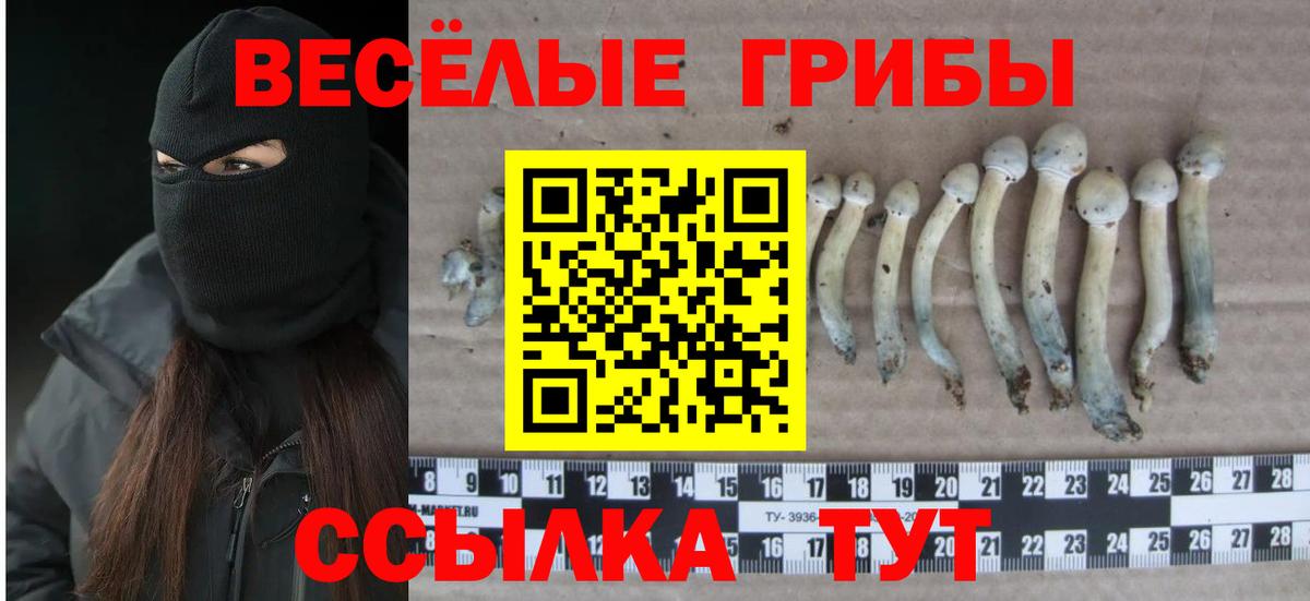 Псилоцибиновые грибы Magic Shrooms Надым